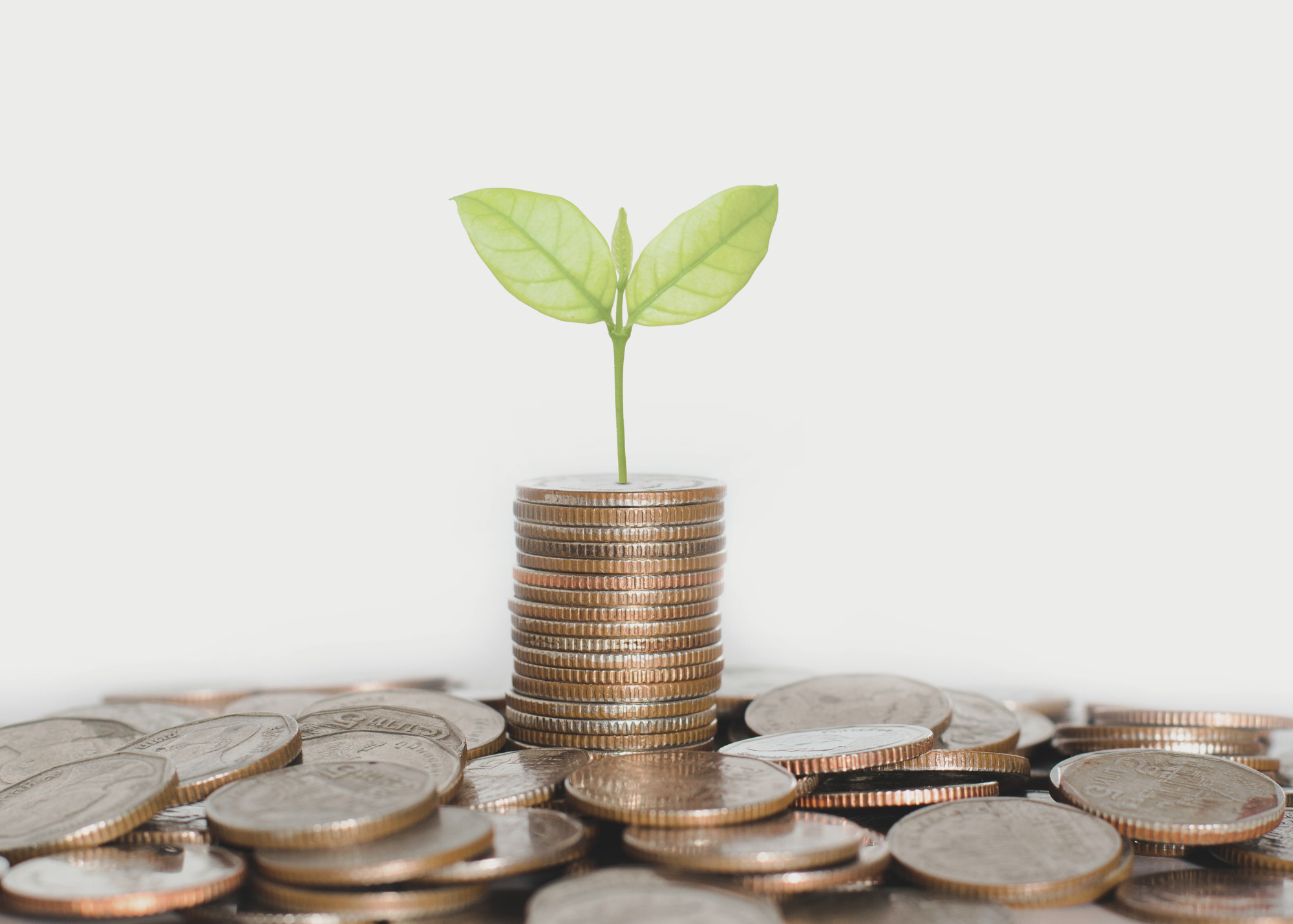 Wolf Greenfield Continue RecordSetting Fundraising at GBLS Associates